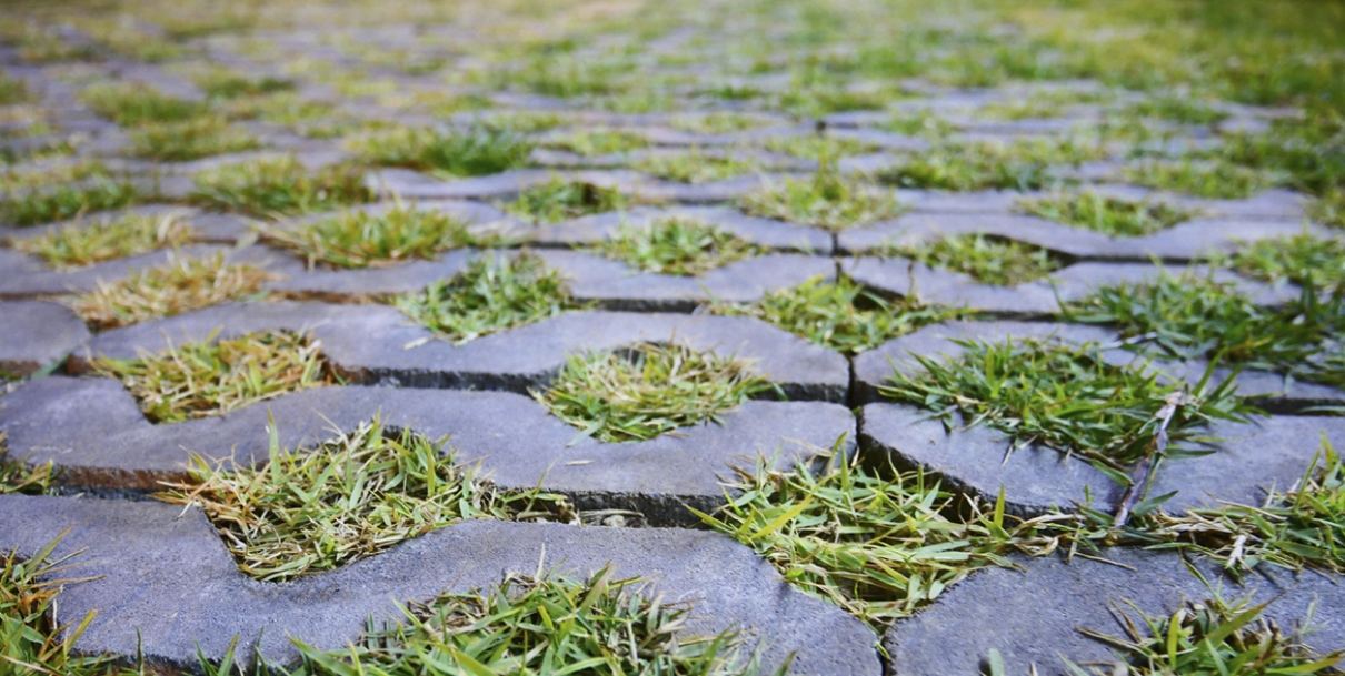 Best Permeable Paving Options for Your Driveway | DALTEX