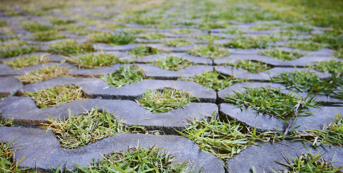 image showing weeds coming through the paving surface